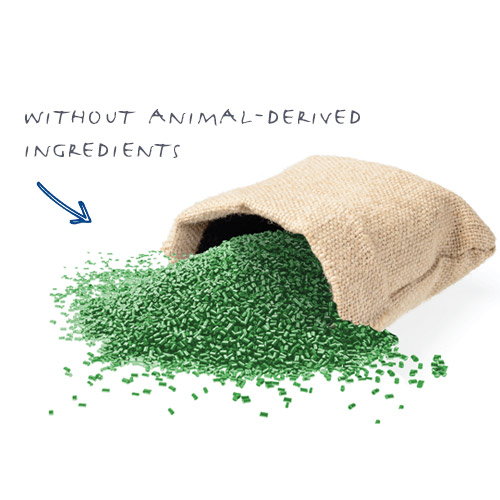 halal and vegan certified masterbatch for plastics